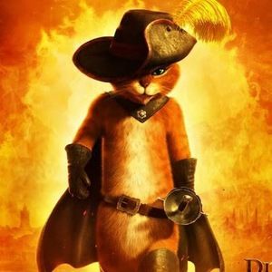 Meet your Posher, Miss